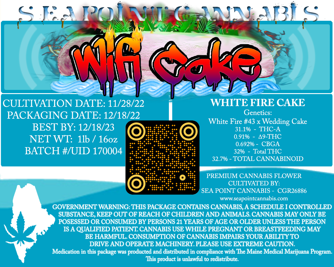 WiFi Cake