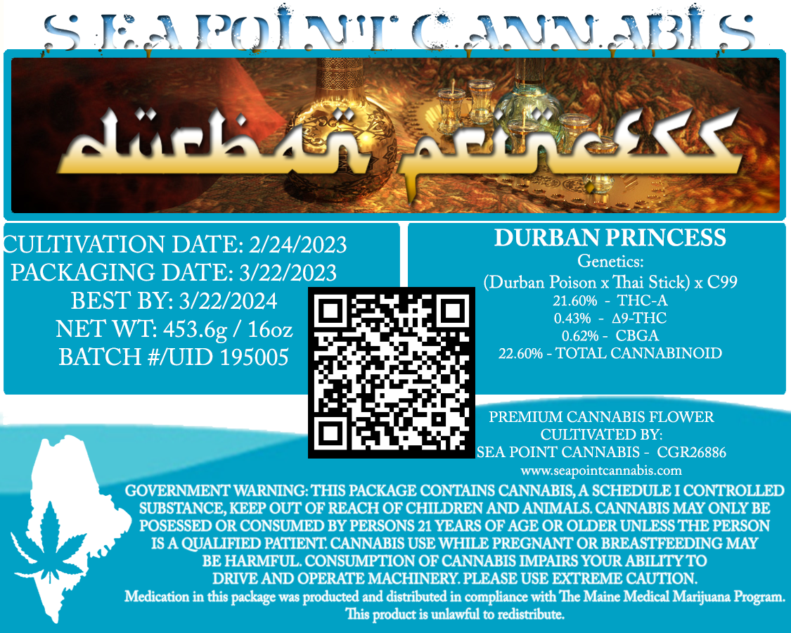 Durban Princess
