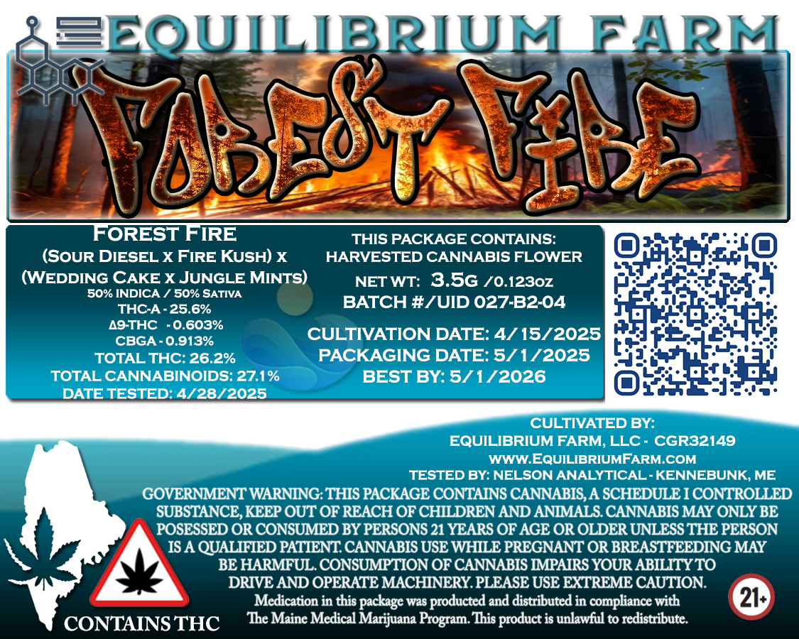 Forest Fire