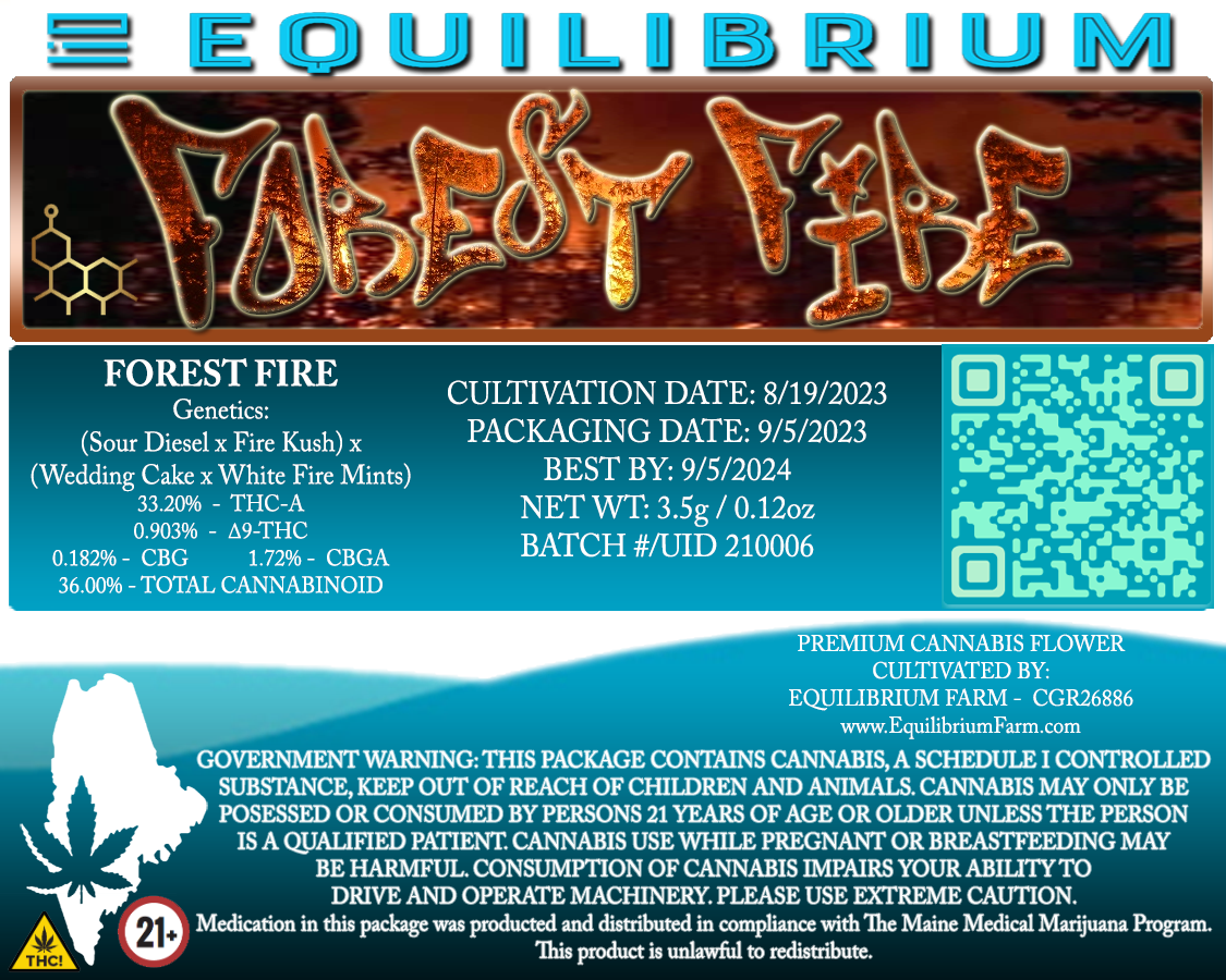 Forest Fire