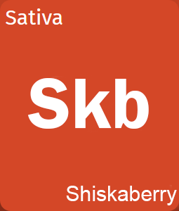 ShiskaBerry